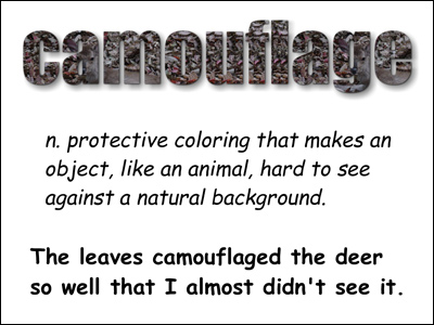 Camouflage cool word Sample