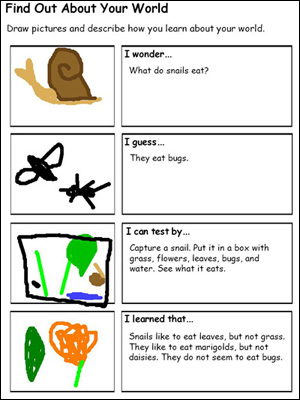 student inquiry into the food snails eat