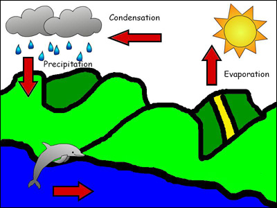 student diagram of water cycle